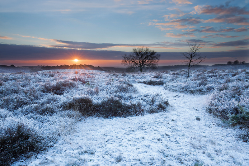 De 6 mooiste winter wandelgebieden in Nederland